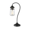 Z-Lite Celeste 1 Light Table Lamp, Olde Bronze And Clear Seedy TL120-OB